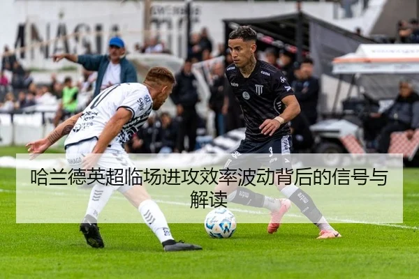 ha-lan-de-ying-chao-lin-chang-jin-gong-xiao-lv-bo-dong-bei-hou-de-xin-hao-yu-jie-du-2-191.jpg